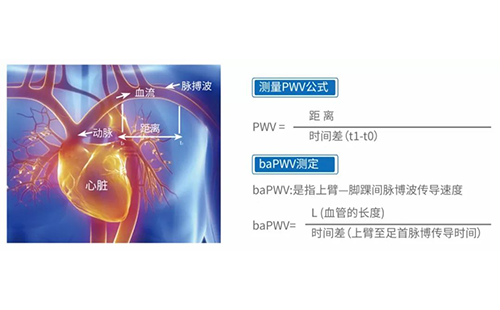 脈搏波速測(cè)定儀